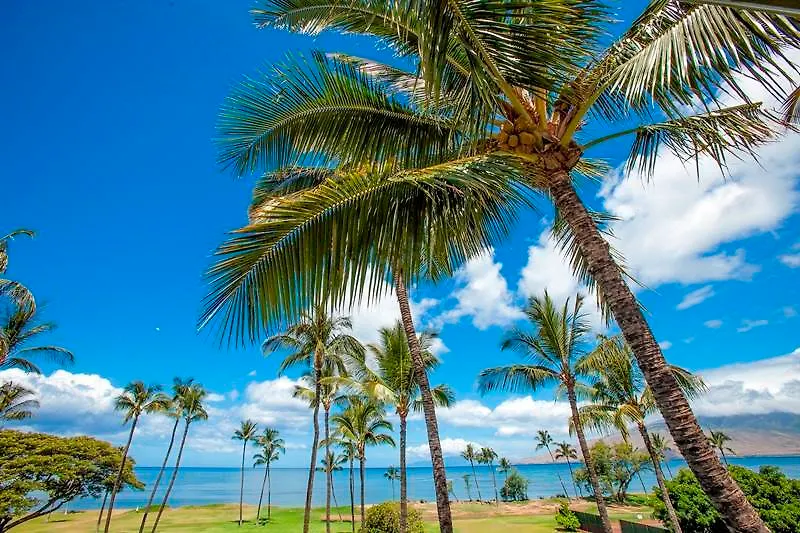 Leinaala Maui Condo And Home Kihei Ηνωμένες Πολιτείες της Αμερικής