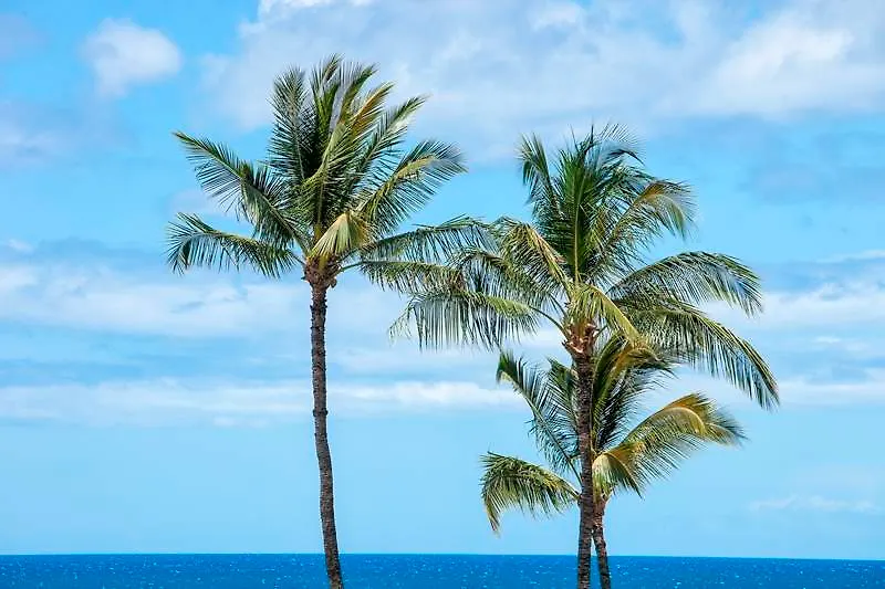 Leinaala Maui Condo And Home Kihei