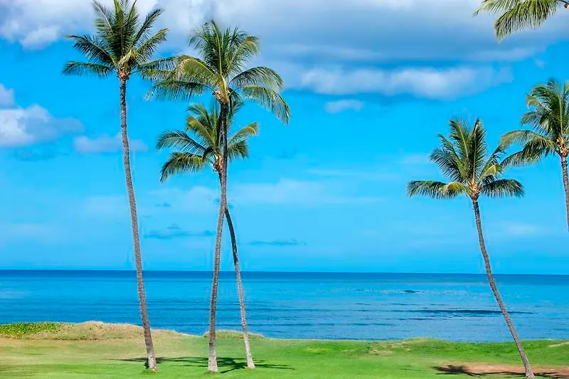 Leinaala Maui Condo And Home Kihei 2*,